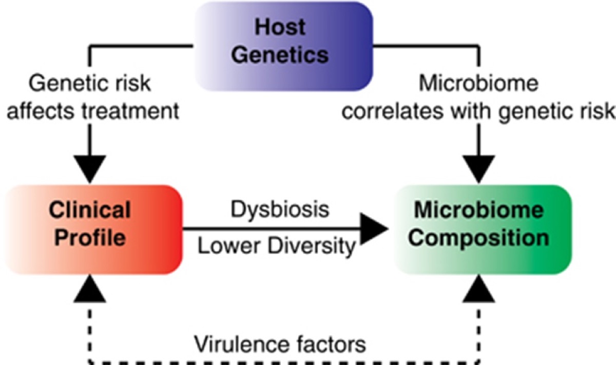 Schematic of host genetics, clinical profile, and gut microbiome composition interacting in inflammatory bowel disease